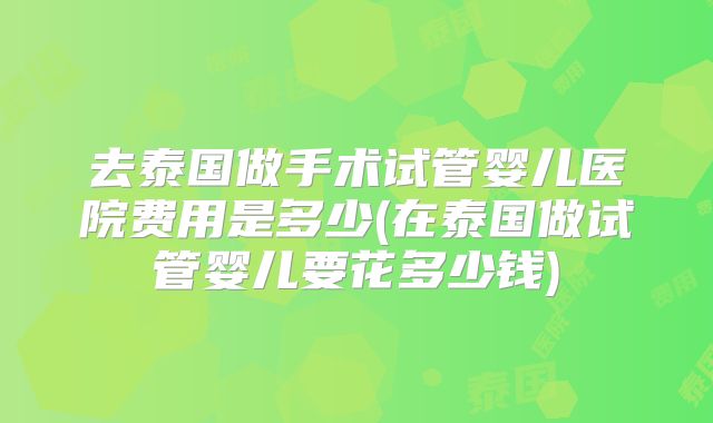 去泰国做手术试管婴儿医院费用是多少(在泰国做试管婴儿要花多少钱)