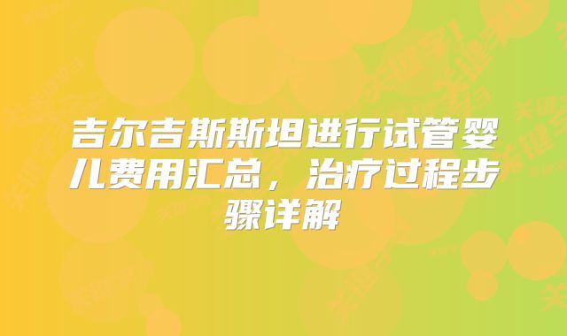吉尔吉斯斯坦进行试管婴儿费用汇总，治疗过程步骤详解