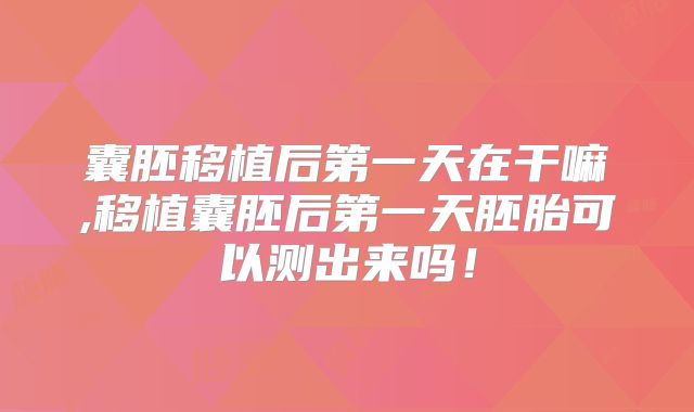 囊胚移植后第一天在干嘛,移植囊胚后第一天胚胎可以测出来吗！