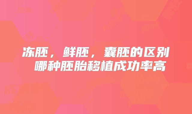 冻胚，鲜胚，囊胚的区别 哪种胚胎移植成功率高