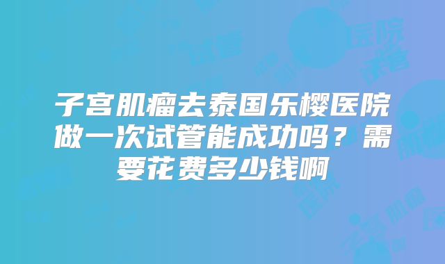 子宫肌瘤去泰国乐樱医院做一次试管能成功吗?需要花费多少钱啊