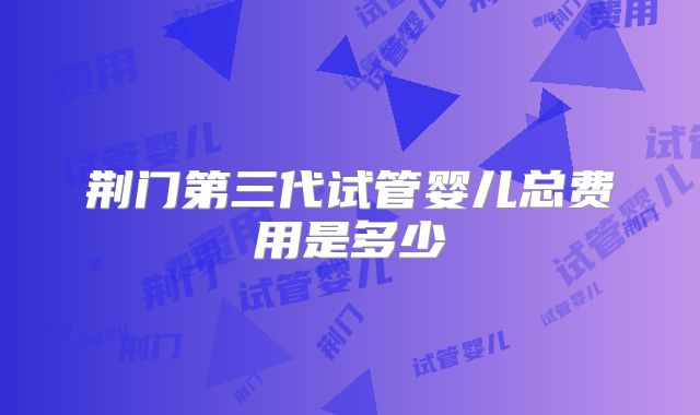 荆门第三代试管婴儿总费用是多少