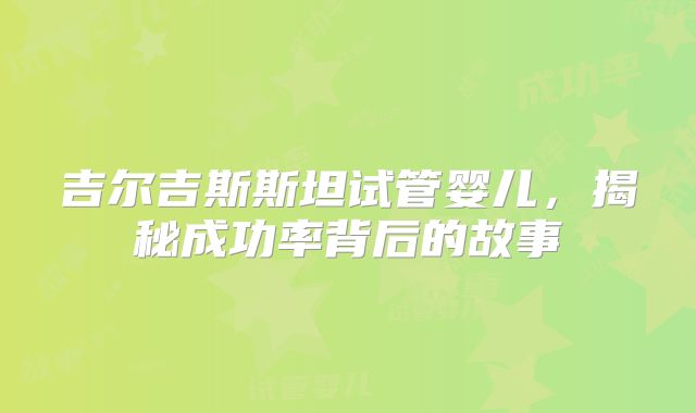 吉尔吉斯斯坦试管婴儿，揭秘成功率背后的故事