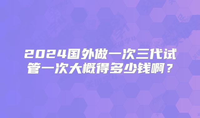 2024国外做一次三代试管一次大概得多少钱啊?