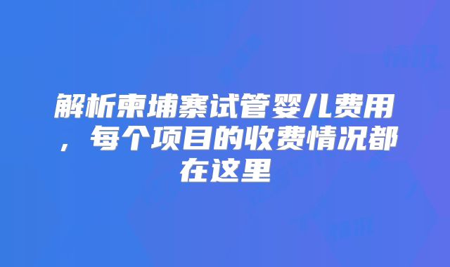 解析柬埔寨试管婴儿费用，每个项目的收费情况都在这里
