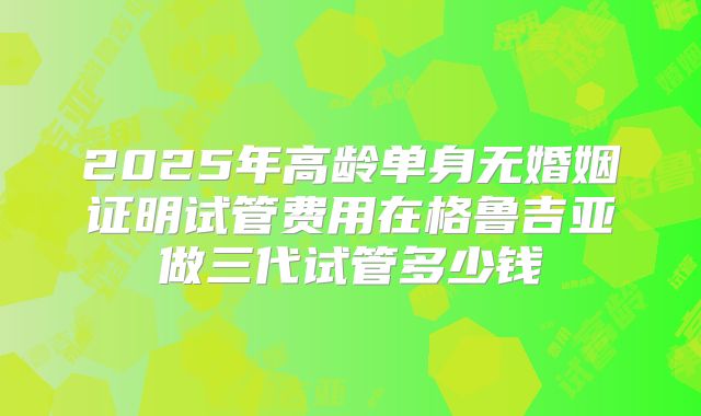 2025年高龄单身无婚姻证明试管费用在格鲁吉亚做三代试管多少钱