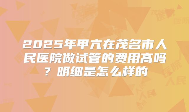 2025年甲亢在茂名市人民医院做试管的费用高吗？明细是怎么样的