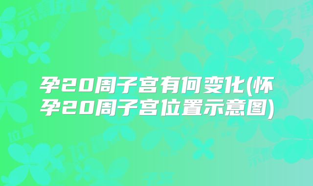 孕20周子宫有何变化(怀孕20周子宫位置示意图)