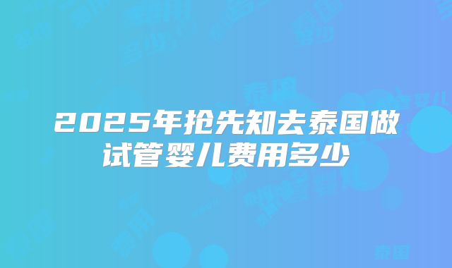 2025年抢先知去泰国做试管婴儿费用多少