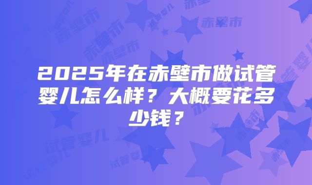2025年在赤壁市做试管婴儿怎么样？大概要花多少钱？