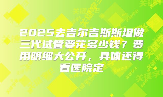2025去吉尔吉斯斯坦做三代试管要花多少钱？费用明细大公开，具体还得看医院定