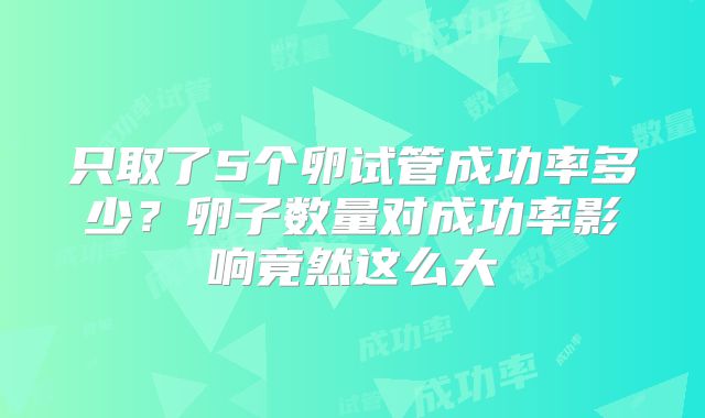 只取了5个卵试管成功率多少?卵子数量对成功率影响竟然这么大