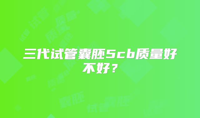三代试管囊胚5cb质量好不好?