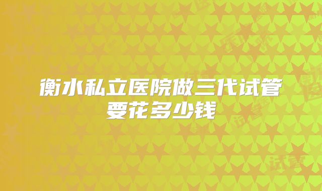衡水私立医院做三代试管要花多少钱