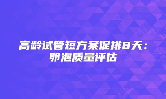 高龄试管短方案促排8天：卵泡质量评估