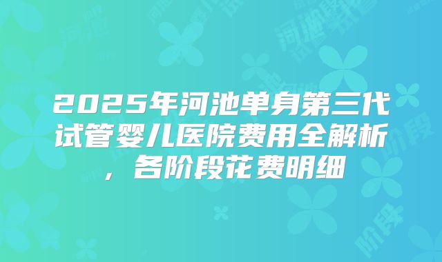 2025年河池单身第三代试管婴儿医院费用全解析,各阶段花费明细