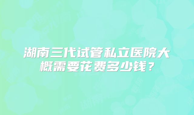 湖南三代试管私立医院大概需要花费多少钱？