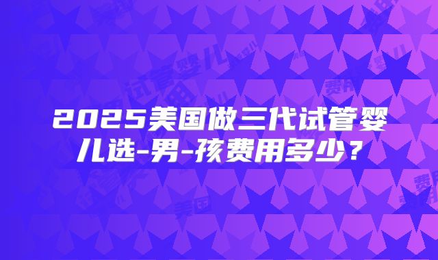 2025美国做三代试管婴儿选-男-孩费用多少？