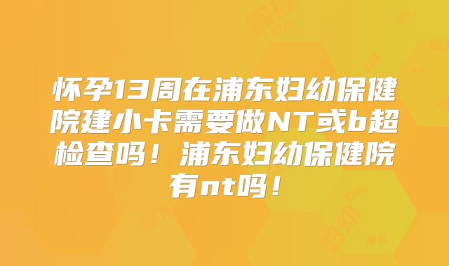 怀孕13周在浦东妇幼保健院建小卡需要做NT或b超检查吗！浦东妇幼保健院有nt吗！