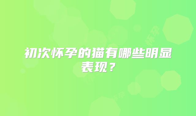 初次怀孕的猫有哪些明显表现？
