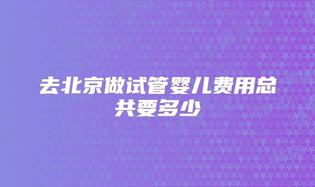 去北京做试管婴儿费用总共要多少