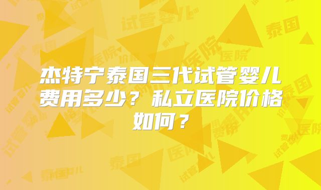 杰特宁泰国三代试管婴儿费用多少？私立医院价格如何？