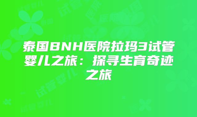 泰国BNH医院拉玛3试管婴儿之旅：探寻生育奇迹之旅