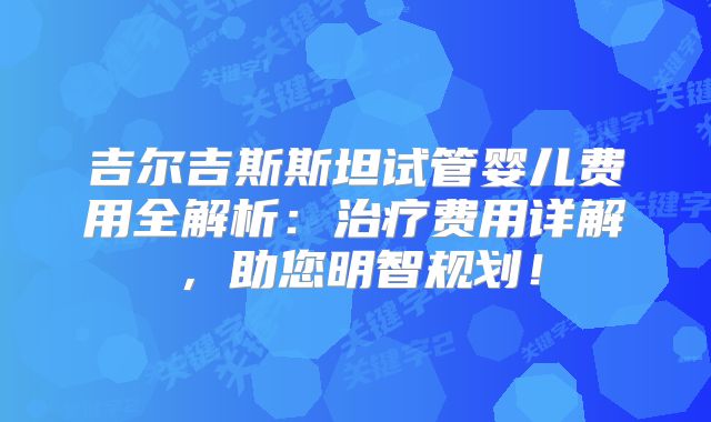 吉尔吉斯斯坦试管婴儿费用全解析:治疗费用详解,助您明智规划!