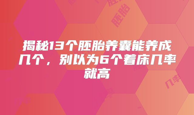 揭秘13个胚胎养囊能养成几个,别以为6个着床几率就高