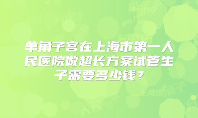 单角子宫在上海市第一人民医院做超长方案试管生子需要多少钱？