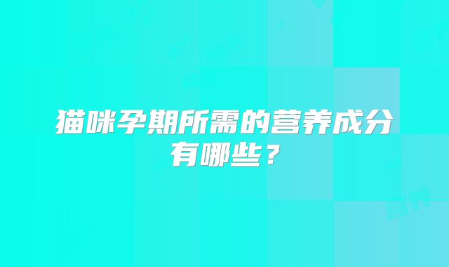 猫咪孕期所需的营养成分有哪些?