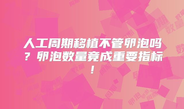 人工周期移植不管卵泡吗？卵泡数量竟成重要指标!