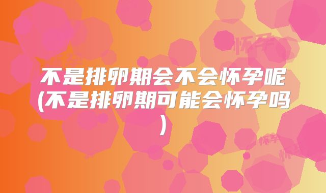 不是排卵期会不会怀孕呢(不是排卵期可能会怀孕吗)