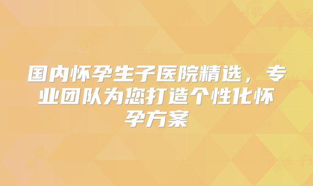 国内怀孕生子医院精选，专业团队为您打造个性化怀孕方案