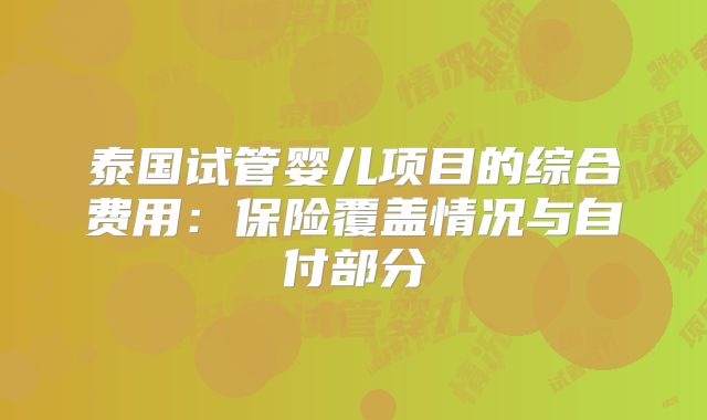 泰国试管婴儿项目的综合费用：保险覆盖情况与自付部分