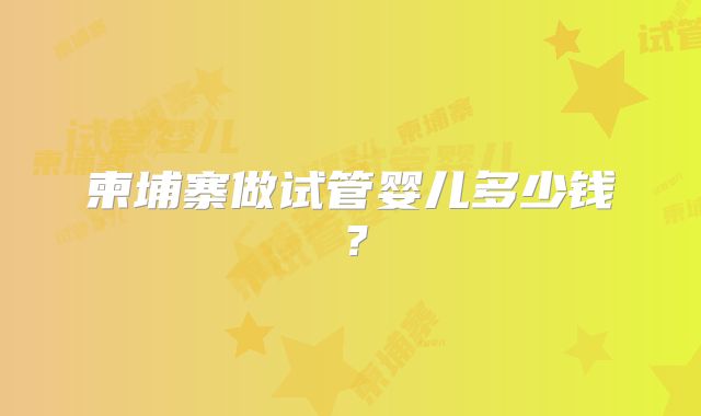 柬埔寨做试管婴儿多少钱？