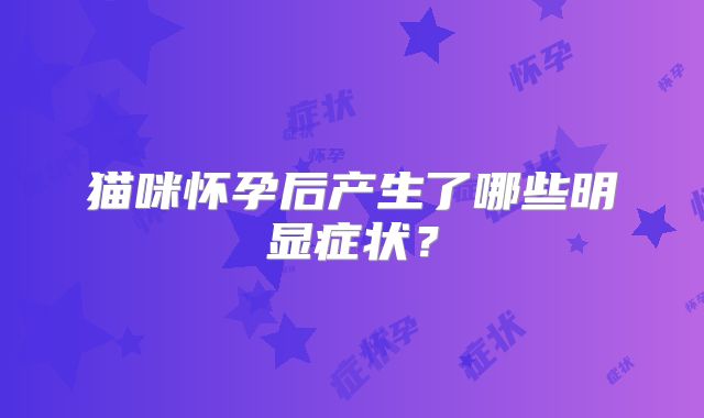 猫咪怀孕后产生了哪些明显症状？