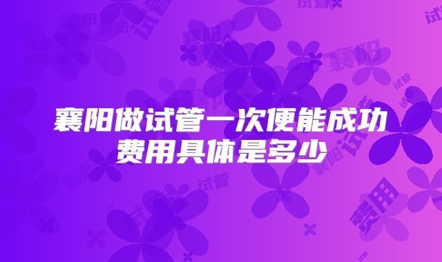 襄阳做试管一次便能成功费用具体是多少