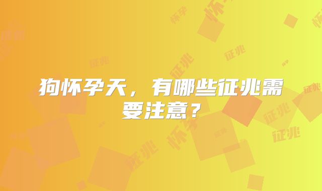 狗怀孕天,有哪些征兆需要注意?