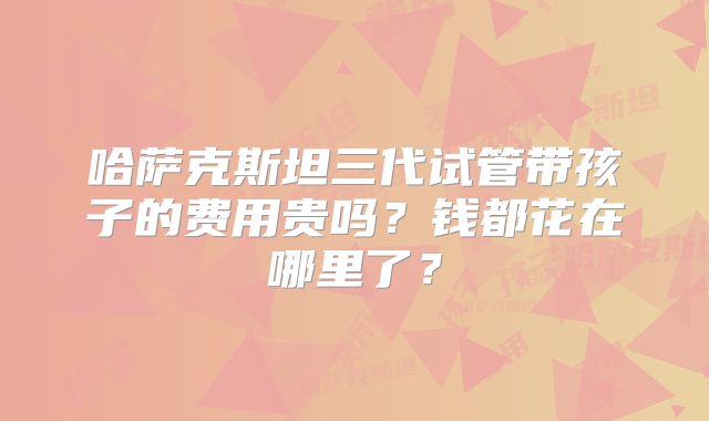 哈萨克斯坦三代试管带孩子的费用贵吗？钱都花在哪里了？