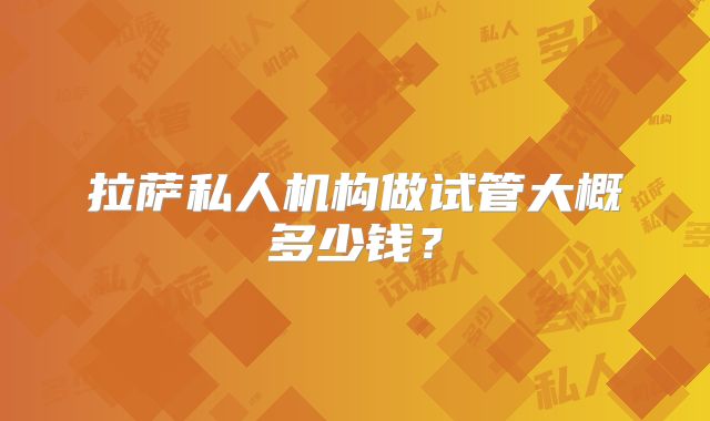 拉萨私人机构做试管大概多少钱？