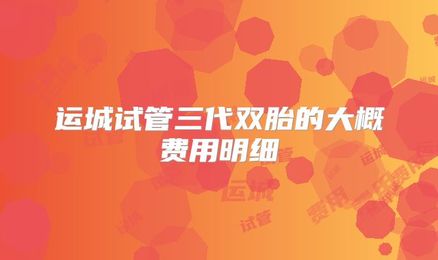 运城试管三代双胎的大概费用明细