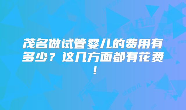 茂名做试管婴儿的费用有多少？这几方面都有花费！