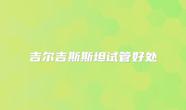 吉尔吉斯斯坦试管好处