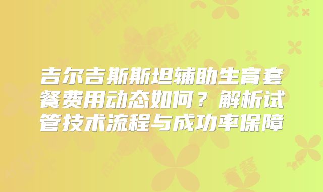 吉尔吉斯斯坦辅助生育套餐费用动态如何？解析试管技术流程与成功率保障