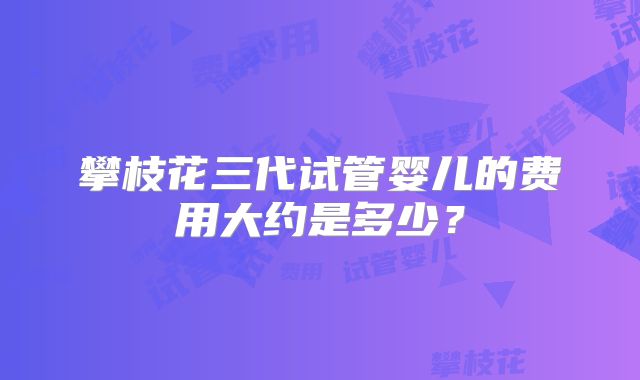 攀枝花三代试管婴儿的费用大约是多少？