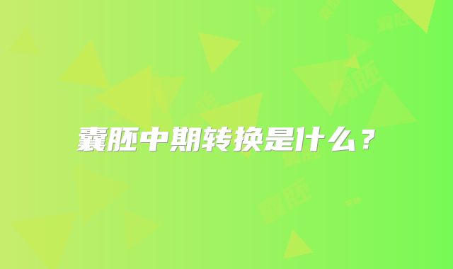 囊胚中期转换是什么？