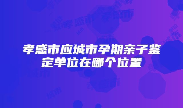 孝感市应城市孕期亲子鉴定单位在哪个位置