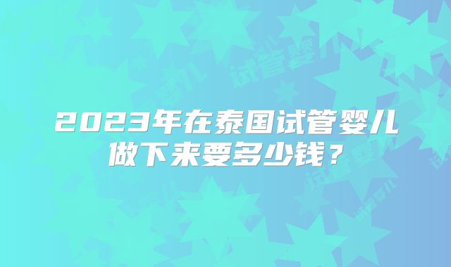 2023年在泰国试管婴儿做下来要多少钱？