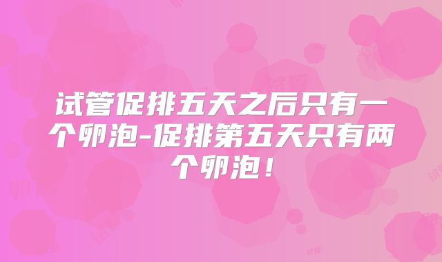 试管促排五天之后只有一个卵泡-促排第五天只有两个卵泡!